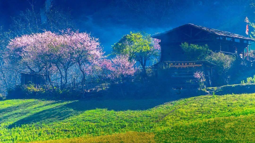 模拟挖掘机