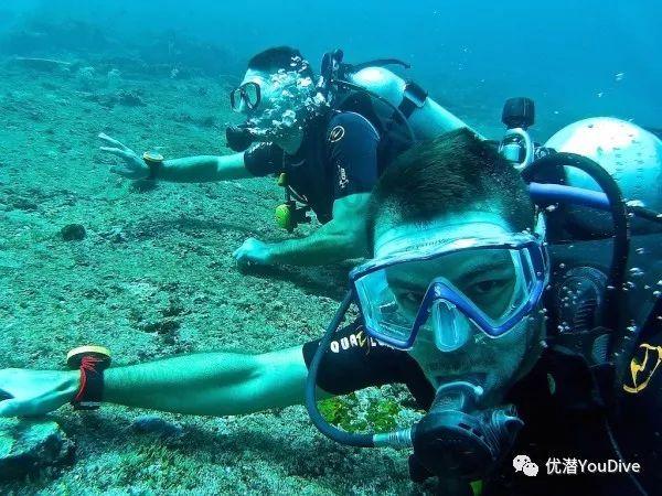 自热米饭竟然是用“假大米”？这种米吃了会对身体有害吗？