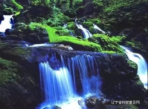 快乐男孩救援